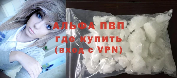прущие грибы Вязьма