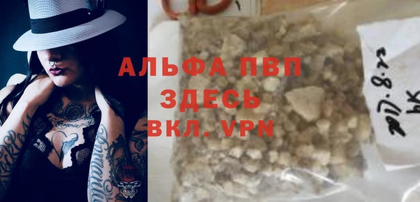 прущие грибы Вязьма