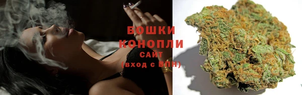 Альфа ПВП Горняк
