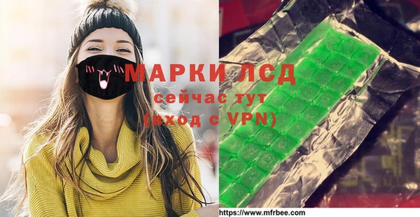 ПСИЛОЦИБИНОВЫЕ ГРИБЫ Вяземский