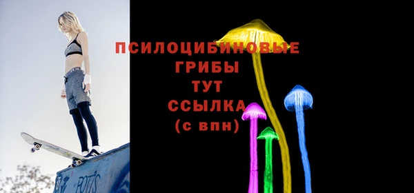 ПСИЛОЦИБИНОВЫЕ ГРИБЫ Вяземский