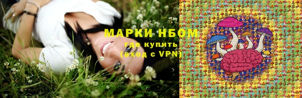 Альфа ПВП Горняк
