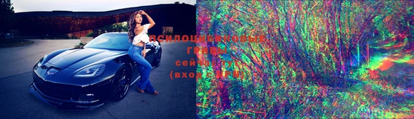 ПСИЛОЦИБИНОВЫЕ ГРИБЫ Вяземский