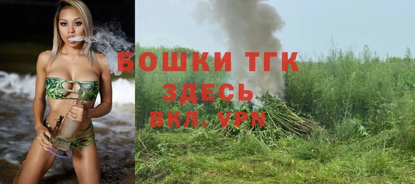 прущие грибы Вязьма