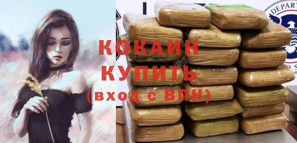 Альфа ПВП Горняк