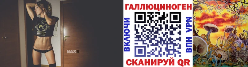 Псилоцибиновые грибы Psilocybe  Майкоп 