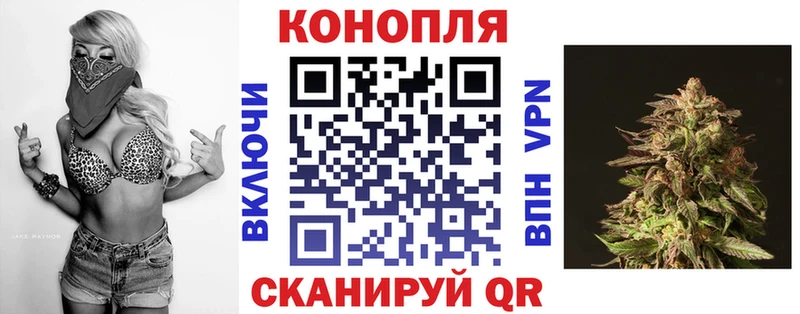 Бошки марихуана тримм  кракен онион  Майкоп 